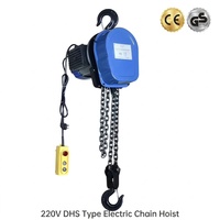 Polipasto Eléctrico de Cadena de Alta Calidad con Función de Reversa, Polipasto Eléctrico de Cadena de Hierro 1t/2t/3t/5t/10t, Precio de Fábrica