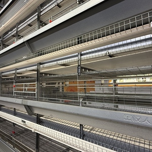 <span class=keywords><strong>Diferentes</strong></span> Tipos <span class=keywords><strong>de</strong></span> Jaulas para <span class=keywords><strong>Gallinas</strong></span> Ponedoras en Venta - Product Image 4