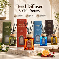 Diffuseur de parfum à bâtonnets très parfumé 200 ml en verre, diffuseur d'huiles essentielles pour la maison, chambre, salon, bureau