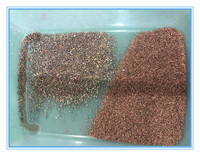 Trieuse optique certifiée WENYAO pour la forme et la couleur des fèves de cacao et des cerises de café, capacité 9-20 tonnes/h, certifiée ISO CE