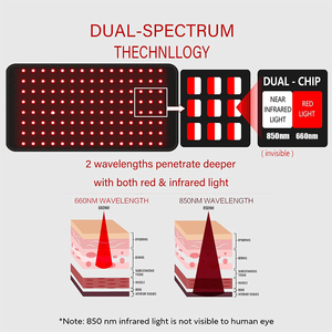 Junneeled sử dụng nhà 120Pcs 660nm 850nm ánh sáng hồng ngoại liệu pháp ánh sáng đỏ đèn LED động vật liệu trị liệu ánh sáng đỏ vành đai - Product Image 5