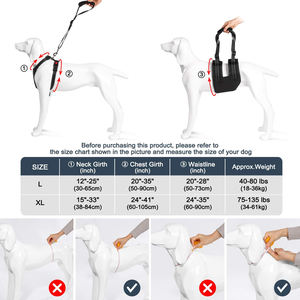 ชุดสายรัดพยุงยกสุนัข,ชุดช่วยพยุงสุนัขช่วยเดินฟื้นฟูสมรรถภาพพร้อมสายรัดหน้าอกแบบปรับได้ - Product Image 6