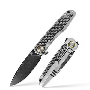 Couteau pliant <span class=keywords><strong>à</strong></span> manche en alliage de titane, système Liner Lock, acier 14C28N, pour <span class=keywords><strong>la</strong></span> chasse, <span class=keywords><strong>le</strong></span> camping et les activités de plein air - Product Image 1