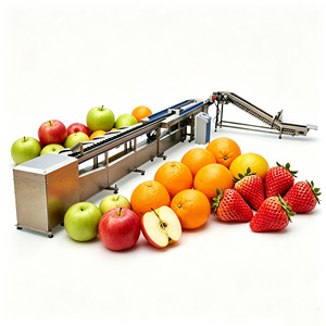 Máquina clasificadora de patatas, clasificadora de limones, arándanos, <span class=keywords><strong>ajo</strong></span>, dátiles y frutas, máquina de lavado y clasificación - Product Image 1