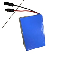 Batterie au lithium rechargeable LongKun 12V 24V 48V 20Ah 50Ah 100Ah avec connecteur pour éclairage solaire, stockage d'énergie photovoltaïque