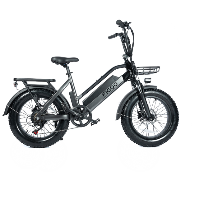 250-1000w 25-50kmh Fat Tire Mountain Dirt Ebike Electric Bicycle Retro City E-bike