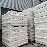 Tissu taffetas tissé 75D 210T 100% polyester imperméable, séchage rapide, respirant, léger, doublure croisée, vente en gros usine