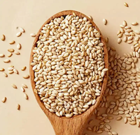Graines de sésame blanc fumées et grillées, séchées, parfumées et croustillantes, prêtes à consommer, qualité 500g, certifiées Halal, pour usage commercial et domestique, en saupoudrage