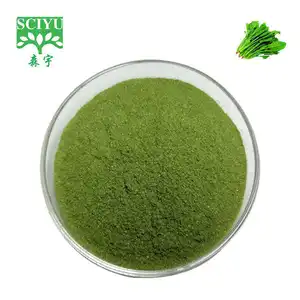 Natural Spinach Juice Powder Green Vegetable Powder Spinach Extract Powder