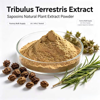Gestandaardiseerd Tribulus Saponinen Poeder Spraygedroogd Tribulus Terrestris Fruitextract Natuurlijke Plantaardige Grondstof Voedingsmiddelenkwaliteit