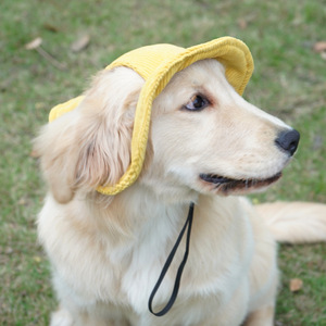 Chapeau de soleil pour chien ChongTa en velours côtelé, protection solaire estivale pour animaux de compagnie, style pêcheur mignon, utilisation en extérieur - Product Image 4