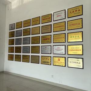 Congélateur domestique et commercial 433L OEM/ODM - Congélateur vertical double usage - Idéal pour la conservation des aliments - Product Image 6