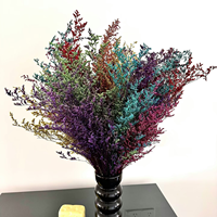 Approvisionnement en gros de Limonium séché naturel, tige séchée, couleur intense, longue durée de conservation, fleur séchée pour la vente au détail et la revente