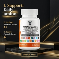 Capsules d'acides aminés pour adultes très vendues, améliorent la mémoire/le sommeil, 120 capsules, compléments nutritionnels sportifs