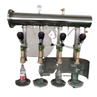 Machine de Remplissage et de Bouchage de Bouteilles en Verre pour Boissons Gazeuses, Bière, Vin, Eau Gazeuse et Co2