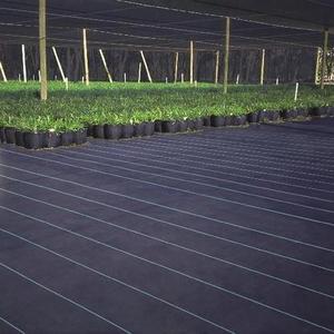 Malla de Cobertura Negra de Polipropileno para Viveros de Vegetales, Barrera Contra Malezas, Precio de Fábrica - Product Image 5