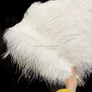 Vente en gros de <span class=keywords><strong>plumes</strong></span> <span class=keywords><strong>d</strong></span>'<span class=keywords><strong>autruche</strong></span> blanches de 55 à <span class=keywords><strong>60</strong></span> <span class=keywords><strong>cm</strong></span> pour les costumes de carnaval <span class=keywords><strong>d</strong></span>écoration de fête de mariage Plumas - Product Image 4