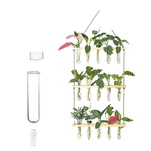 <span class=keywords><strong>Kit</strong></span> de terrarium mural en verre borosilicate rond avec trou de drainage - Écologique pour la maison et le jardin - Product Image 2