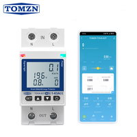 Disjoncteur intelligent TOMZN WIFI 110V 220V 63A Smartlife TUYA avec compteur d'énergie, minuterie, mesure de tension, courant et protection contre les fuites