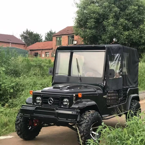 Mini Jeep Eléctrico/Gasolina para Adultos, 2/4/6 Plazas, Exterior Personalizado, Vehículo UTV/Todoterreno, Certificado CE, Garantía de 2 Años, Batería de Plomo-Ácido - Product Image 1