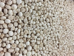 Setas de alta calidad fabricadas en China, setas blancas congeladas - Product Image 3