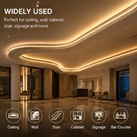 Bande LED COB 24V WS2811 SPI adressable 420 LED/m ultra dense blanche à effet de poursuite flexible pour hôtels et design d'intérieur