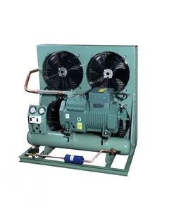Unidad condensadora Compresor maquina para Cuarto Frio