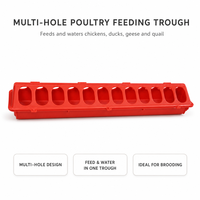 Mangeoire longue pour l'élevage, abreuvoir multi-trous rectangulaire, distributeur en bande longue pour poulets, canards, oies, cailles