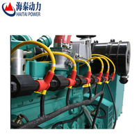 Générateur de gaz naturel 100kw/200kw/250kw/500kw/800kw/1000kw/1mw Lpg Micro Chp Générateur de puissance solaire