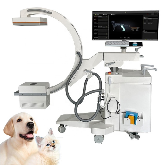 Veterinary Radiology Equipment Mobile Digital C-arm X-ray Machine Pet Xray
