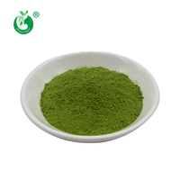 Échantillon gratuit de boissons haut de gamme en poudre de matcha organique de qualité cérémonielle pure