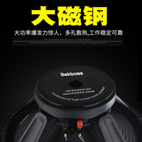 Bekboes 12 15 18 pouces Subwoofer actif Ultra-basse fréquence Haut-parleur KTV Box Stage Mobile Performance Actives