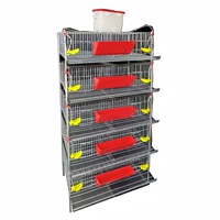 Nouvelle cage à cailles commerciale durable avec système d'évacuation automatique du fumier, construction métallique pour la gestion moderne de la volaille en ferme intérieure