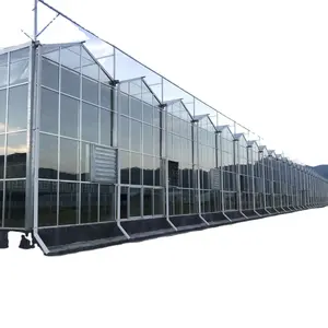 Farm Greenhouse Turnkey Project With Quick Construction