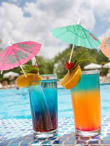 カクテルドリンク傘つまようじ飲料傘カクテルピック、ミニ飲料傘カクテルつまようじハワイアン - Product Image 4