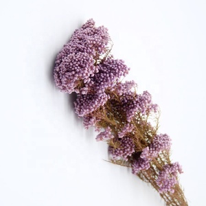 Fiori di Miglio Essiccati Naturali, Decorazioni Floreali per Matrimoni - Product Image 6