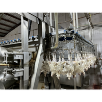 Machine d'abattage et d'épluchage de volaille (canards, poulets, etc.) à haute efficacité pour abattoir