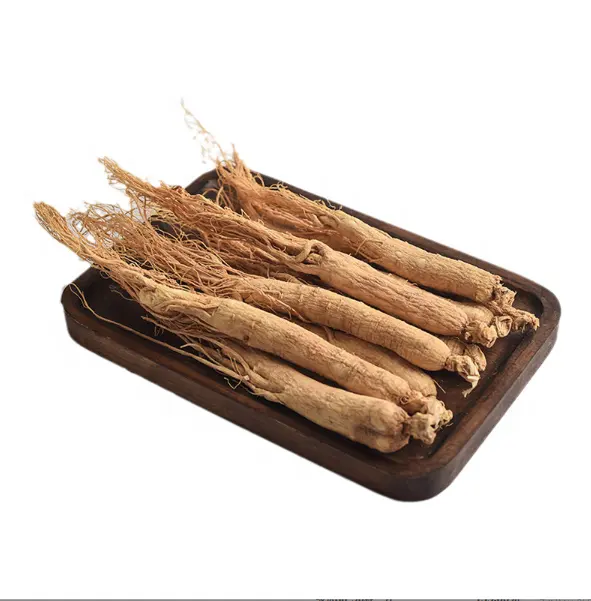 1kg ginseng Pegunungan Changbai segar, ginseng tanah segar ginseng timur laut 9-11 buah