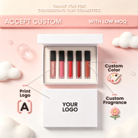 Ensemble de 5 gloss à lèvres sur mesure, parfum et couleur personnalisés, qualité professionnelle, marque privée, vente en gros, coffret cadeau de maquillage professionnel