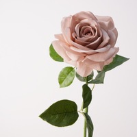 Nouvelle Arrivée 2026 – Rose Artificielle Effet Naturel Thème Couleurs d'Automne Rose Poudrée Café Ivoire