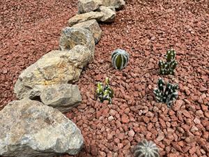 Abricot Orange Rouge Pierre Naturelle Gravier Broyé Drainage Durable Aménagement Paysager Extérieur Pavé Vente - Product Image 6