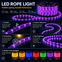 Guirlande lumineuse de Noël arc-en-ciel, cordon lumineux de 220V 13MM, faible consommation d'énergie, IP65, guirlande lumineuse LED pour jardin, bande flexible LED néon