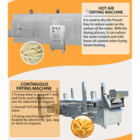 Ligne de production automatique TCA 3000 kg/h avec pelage à la vapeur, blanchiment en spirale, frites surgelées semi-frites