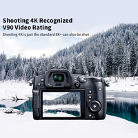Vente Chaude Originale Carte SD Lexar 2000X V90 8K 300Mo/s 128Go 256Go Carte Mémoire Flash SD pour Caméra Professionnelle 8K
