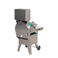 RVS gemotoriseerde 220V keuken snijmachine, voedselhakselaar, groente- en fruitsnijder, multifunctionele machine voor restaurantgebruik
