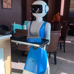 Fábrica <span class=keywords><strong>Precio</strong></span> bajo Entrega al aire libre Entrega comercial Robots Servicio de <span class=keywords><strong>camarero</strong></span> <span class=keywords><strong>Robot</strong></span> con restaurante <span class=keywords><strong>Robot</strong></span> <span class=keywords><strong>Camarero</strong></span> - Product Image 5