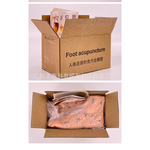 Modèle de réflexologie plantaire ultra-clair de 19 cm, modèle de pied pour l'enseignement de l'acupuncture et des points de massage. - Product Image 4
