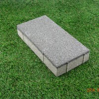 Pavage de briques d'argile autoclavées pavés de béton en céramique perméable à l'eau pour briques de fonction ignifuges de trottoir de parc