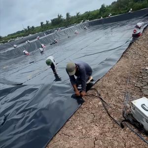 Thaïlande / Vietnam / Géomembrane HDPE / Indonésie / Philippines / Singapour / Malaisie 0,5 mm Feuille de revêtement de bassin en HDPE Bassin pour poissons Bassin pour crevettes - Product Image 6