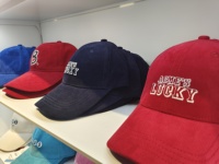 Gorra Deportiva Personalizada con Bordado 3D en Relieve, 5 Paneles, 6 Paneles, Estilo Hip Hop Urbano, Gorras Snapback con Logotipo Impreso, para las Cuatro Estaciones